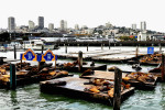 San Francisco - Pier 39
